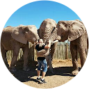 אריאל הנגבי